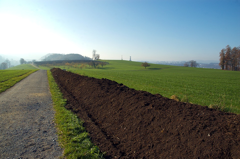 Compost disponible secteur Aube - Haute Marne - Champagne - Haute-Saône - Doubs - Côte d'Or...