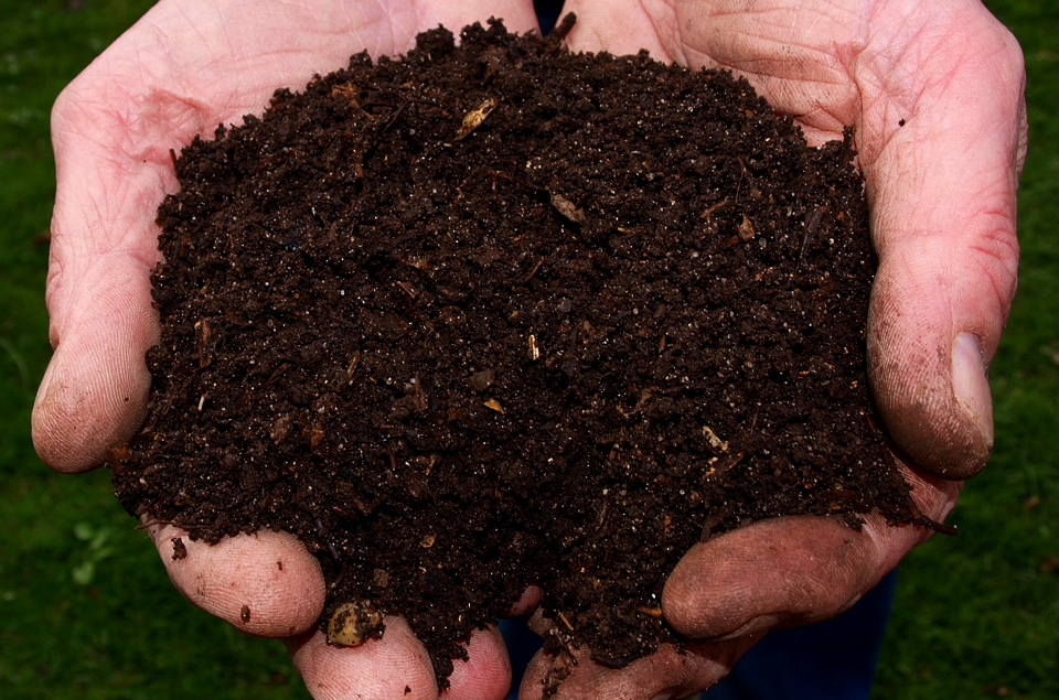 Nourrir les micro-organismes afin de fertiliser les sols