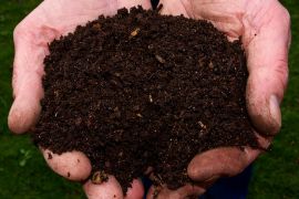 Nourrir les micro-organismes afin de fertiliser les sols