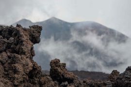 Un sol riche naturellement pour une bonne croissance de la plante