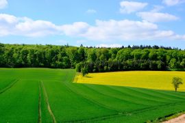 Fertilisants, éléments nutritifs du sol... pour de belles cultures